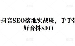 王通·抖音SEO落地实战班,手手带你做好音抖SEO