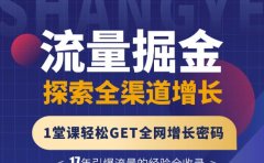 张琦流量掘金探索全渠道增长，1堂课轻松GET全网增长密码