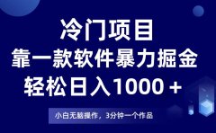 冷门项目靠一款软件,暴力掘金日入1000+,小白轻松上手