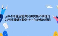 从0-1抖音运营课只讲实操不讲理论：21节实操课+案例+5个在能做的项目