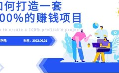 最新6月份《如何设计一套100%赚钱的项目系统》