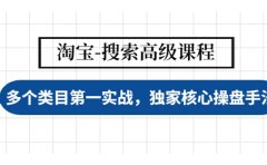 淘宝-搜索高级课程：多个类目第一实战，独家核心操盘手法