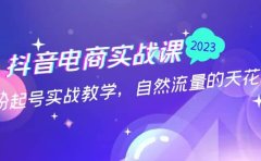 抖音电商实战课:0粉起号实战教学,自然流量的天花板(2月19最新)