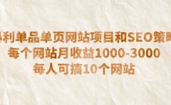 暴利单品单页网站项目和SEO策略 每个网站月收益1000-3000 每人可搞10个