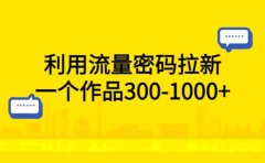 利用流量密码拉新,一个作品300-1000+