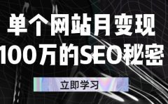 单个网站月变现100万的SEO秘密,百分百做出赚钱站点