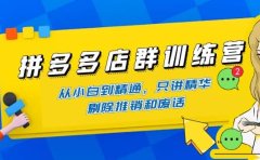 拼多多店群训练营：从小白到精通，只讲精华，剔除推销和废话