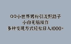 QQ小世界男粉引流野路子，小白无脑操作，多种变现方式轻松日入1000+