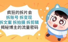 疯狂的拆片会：拆账号 拆变现 拆文案 拆拍摄 拆剪辑 揭秘博主的流量密码