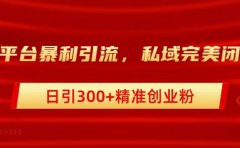 跨平台暴力引流，私域完美闭环，日引300+精准创业粉