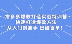 拼多多爆款打造实战特训营:快速打造爆款方法,从入门到高手 日破百单