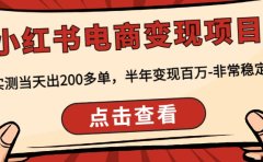 小红书电商变现项目：实测当天出200多单