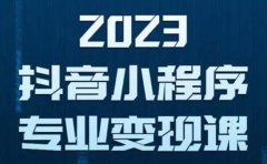 抖音小程序变现保姆级教程:0粉丝新号 无需实名 3天起号 第1条视频就有收入