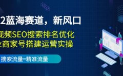 2022蓝海赛道，新风口：短视频SEO搜索排名优化+企业商家号搭建运营实操