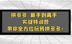 拼多多“新手到高手”实战特训营：带你全方位玩转拼多多