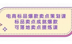 电商标品爆款卖点策划课，标品卖点成就爆款，可落地卖点提炼课