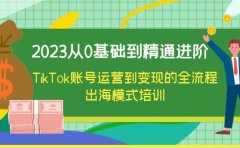 2023从0基础到精通进阶,TikTok账号运营到变现的全流程出海模式培训
