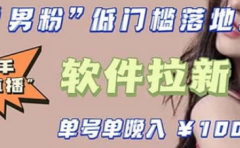 快手0粉开通官方“磁力聚星”小铃铛，0基础0费用实操无人直播“软件拉新”