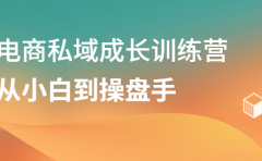 电商私域成长训练营，从小白到操盘手