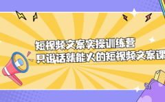 短视频文案实训操练营，只说话就能火的短视频文案课
