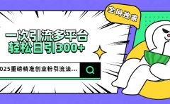 2025重磅全网独家引流法，一次多平台，轻松日引300+精准创业粉