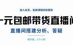 一元包邮带货直播间搭建，两节课三小时，搭建、分析、答疑