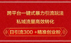跨平台一键式暴力引流玩法，私域流量高效转化日引流300 +精准创业粉