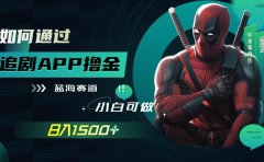 如何通过追剧APP撸金,日入1500+(附素材)