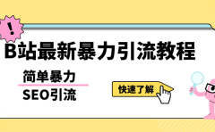 b站最新引流方法，暴力SEO引流玩法，一天可以量产几百个视频（附带软件）