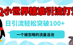 QQ小世界，被严重低估的私域引流平台，流量年轻且巨大，实操单日引流100+创业粉，月精准变现1W+