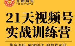 张萌21天视频号实战训练营，裂变涨粉、内容创作、视频号变现 价值298元