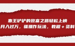 全网首发,靠王铲铲的致富之路轻松上榜,月入过万,骚操作玩法,教程+资料