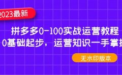 2023拼多多0-100实战运营教程，0基础起步，运营知识一手掌握（无水印）