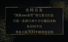 小红书，“预算 4980 带我飞” 的神奇图片引流法，堪称涨粉核武器！只需一张图，就能单条笔记凭借此方法，轻松引流 300 + 精准创业粉！