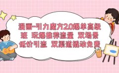 漫画-引力魔方2.0爆单高级班 玩爆推荐流量 双场景低价引流 双渠道撬动免费