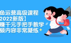 闲鱼运营高级课程【2022新版】，日赚千元手把手教学，视频内容非常凝练
