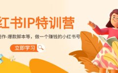 小红书IP特训营