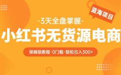 2023小红书无货源电商【保姆级教程从0到日入300】爆单3W