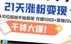 21天精准涨粉变现干货大课:从10位粉丝开始变现 月增5000+