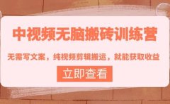 中视频无脑搬砖训练营：无需写文案，纯视频剪辑搬运，就能获取收益