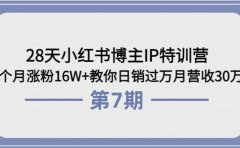 28天小红书博主IP特训营《第6+7期》4个月涨粉16W+教你日销过万月营收30万