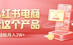 小红书无货源电商0门槛开店,卖这个品轻松实现月入2W