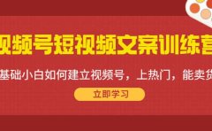 视频号短视频文案训练营:0基础小白如何建立视频号,上热门,能卖货!