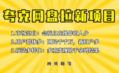 此项目外面卖398保姆级拆解夸克网盘拉新玩法,助力新朋友快速上手