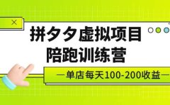 《拼夕夕虚拟项目陪跑训练营》单店100-200 独家选品思路与运营