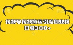 视频号视频搬运引流创业粉，日引300+
