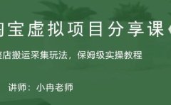 淘宝虚拟整店搬运采集玩法分享课：整店搬运采集玩法，保姆级实操教程