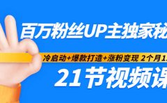 百万粉丝UP主独家秘诀：冷启动+爆款打造+涨粉变现2个月12W粉（21节视频课)