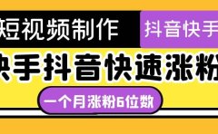 短视频油管动画-快手抖音快速涨粉：一个月粉丝突破6位数 轻松实现经济自由