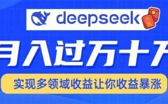 2025年最火项目DeepSeek玩法
